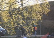 Vaidavas kauss 2019.Valdis Paeglis804