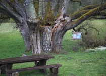 Vaidavas kauss 2019.Valdis Paeglis538