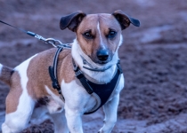 Vaidavas kauss 2019.Aija Valtmane538