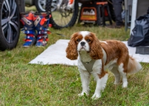 Vaidavas kauss 2020.Aija Valtmane704