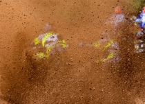 Vaidavas kauss 2020.Aija Valtmane724