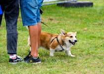 Vaidavas kauss 2020.Aija Valtmane132