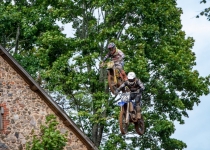 Vaidavas kauss 2020.Aija Valtmane517