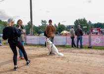 Vaidavas kauss 2020.Aija Valtmane667