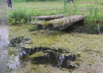 Vaidavas kauss 2020.Valdis Paeglis269