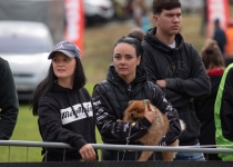 Zelta mopēds 2020.Jānis Pastars65