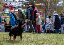 Vaidavas Kauss 2022. Foto: Aija Valtmane2