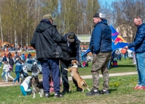 Vaidavas Kauss 2022. Foto: Aija Valtmane190