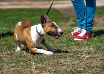 Vaidavas Kauss 2022. Foto: Aija Valtmane191