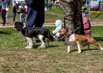 Vaidavas Kauss 2022. Foto: Aija Valtmane192