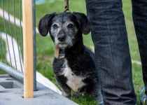 Vaidavas Kauss 2022. Foto: Aija Valtmane194