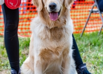 Vaidavas Kauss 2022. Foto: Aija Valtmane578