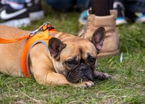 Vaidavas Kauss 2022. Foto: Aija Valtmane603