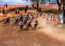 Vaidavas Kauss 2022. Foto: Aija Valtmane650