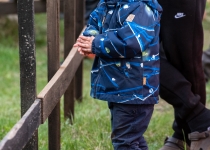 Vaidavas Kauss 2022. Foto: Aija Valtmane803