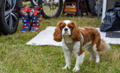 Vaidavas Kausa mirkļi. Foto: Aija Valtmane3
