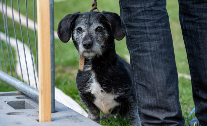 Vaidavas Kausa mirkļi. Foto: Aija Valtmane47