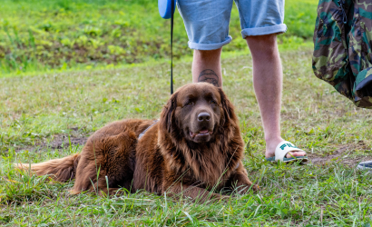 Vaidavas Kauss 2023. Foto: Edgars Baumanis12
