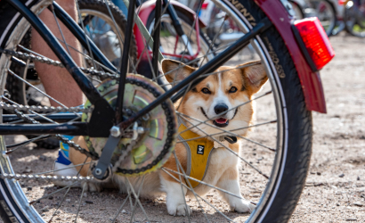 Vaidavas Kauss 2023 2. diena. Foto: Aija Valtmane205