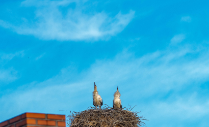 Vaidavas Kauss 2023 2. diena. Foto: Aija Valtmane302