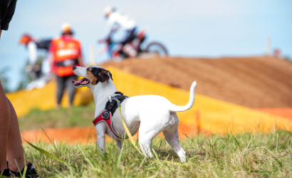 Vaidavas Kauss 2023 3. diena. Foto: Aija Valtmane395