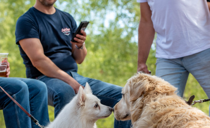 Vaidavas Kauss 2023 3. diena. Foto: Aija Valtmane401