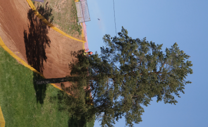 Vaidavas kauss 2024 2.diena Foto: Valdis Paeglis261