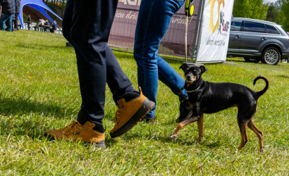 Vaidavas Kauss 2024. Foto: Edgars Baumanis17