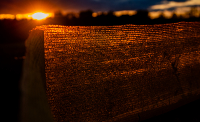 Vaidavas Kauss 2024 1. diena. Foto: Aija Valtmane2