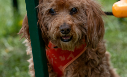 Vaidavas Kauss 2024 1. diena. Foto: Aija Valtmane57