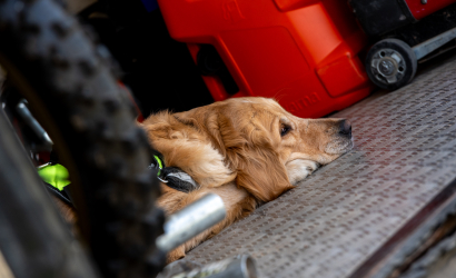 Vaidavas Kauss 2024 1. diena. Foto: Aija Valtmane425