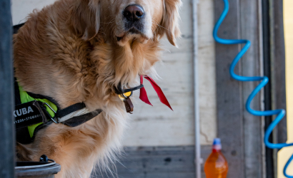 Vaidavas kauss 2025 1. diena. Foto: Aija Valtmane286