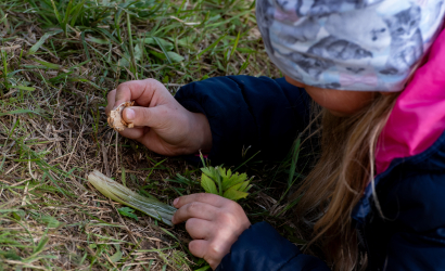 Vaidavas kauss 2025 1. diena. Foto: Aija Valtmane359