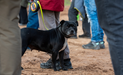 Vaidavas kauss 2025 1. diena. Foto: Aija Valtmane364