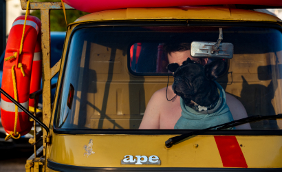 Kurbulē uz upi. Foto: Aija Valtmane9