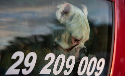 Kurbulē uz upi. Foto: Aija Valtmane220