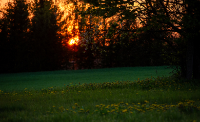 Kurbulē uz upi. Foto: Aija Valtmane296