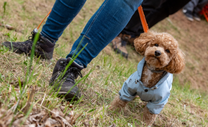Vaidavas kauss 2025. 2. diena. Foto: Aija Valtmane162