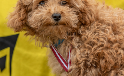 Vaidavas kauss 2025. 2. diena. Foto: Aija Valtmane621