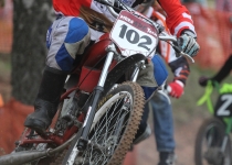 Zelta Mopēds 201419