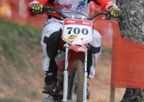 Zelta Mopēds 201423