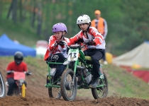 Zelta Mopēds 201446