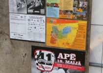 Vaidavas kauss 20146