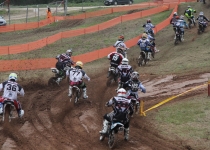 Vaidavas kauss 2014184