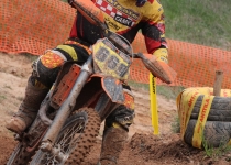 Vaidavas kauss 2014259