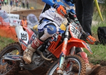 Vaidavas kauss 2014276