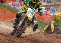 Vaidavas kauss 2014278