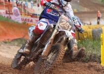 Vaidavas kauss 2014283