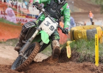 Vaidavas kauss 2014284