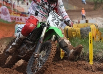 Vaidavas kauss 2014288